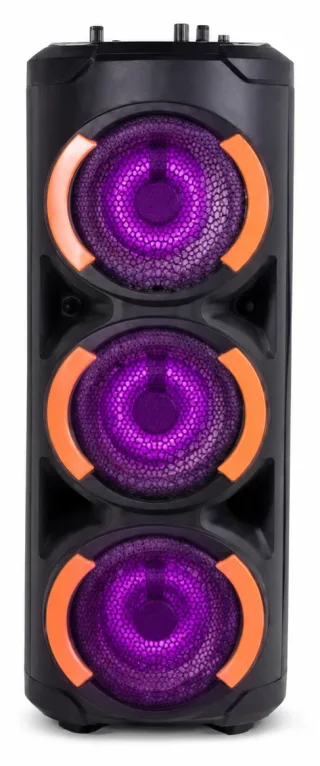 Vision Party Speaker VPS-65 — 2