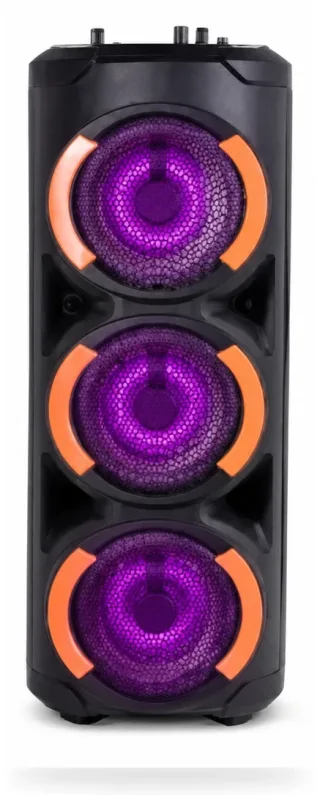 Vision Party Speaker VPS-65 — 3